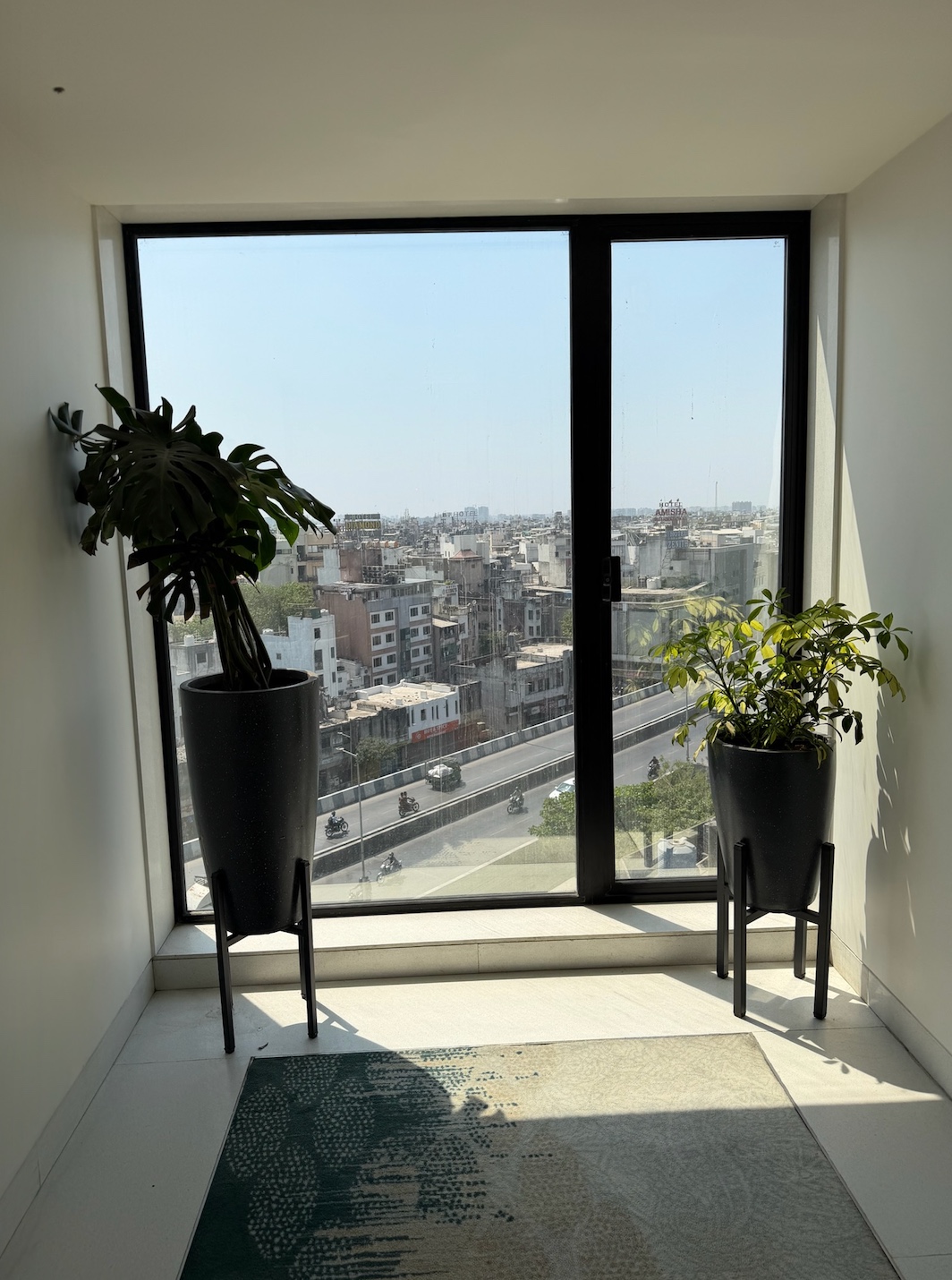 Terrarium and crafty plants